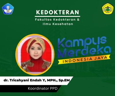 Koordinator Akademik